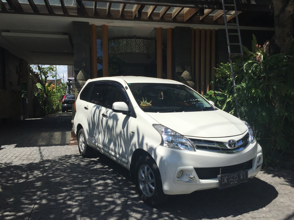 Bali private tour with driver
